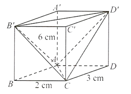 Hình minh họa câu hỏi